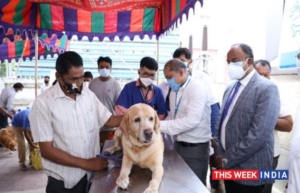 Indian Immunologicals administers 1 Lac FREE dosages of Anti-rabies vaccine on World Zoonosis Day 2021 - thisweekindia