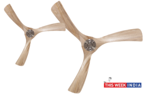 Fanzart launches the Jazzy handcrafted woody exotica - thisweekindia