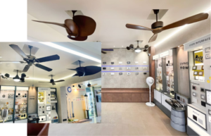 Luxury fan brand Fanzart launches new showroom in Patna - thisweekindia