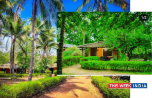 Natures Nest offers tourists a unique rural Goan village experience - thisweekindia
