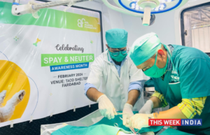 TACO Celebrates Two Years of Transforming Animal Welfare in India - thisweekindia